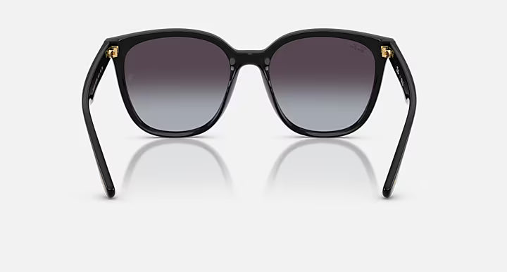 RB4423D YEAR OF THE SNAKE EDITION