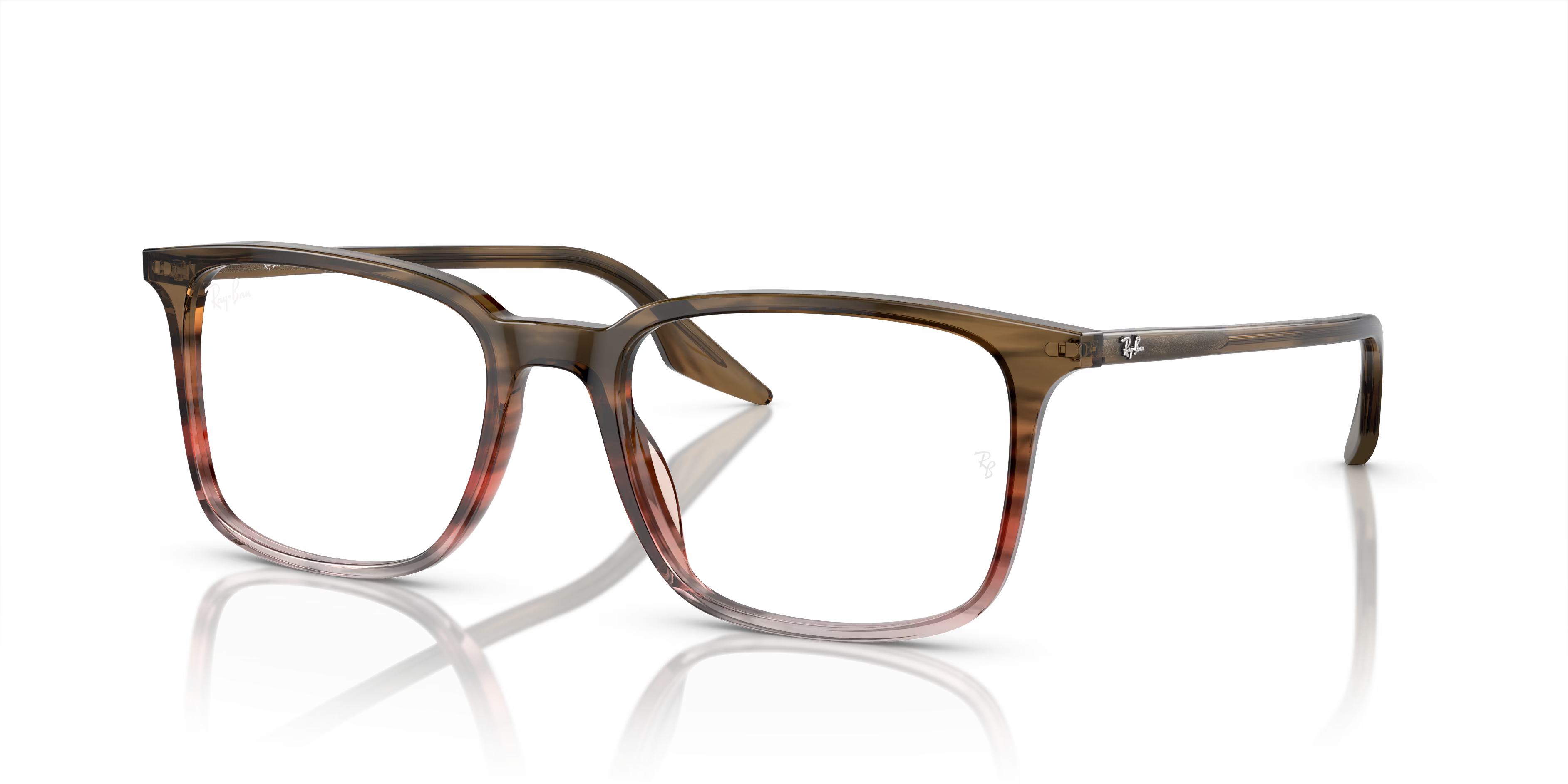 RB5421 OPTICS