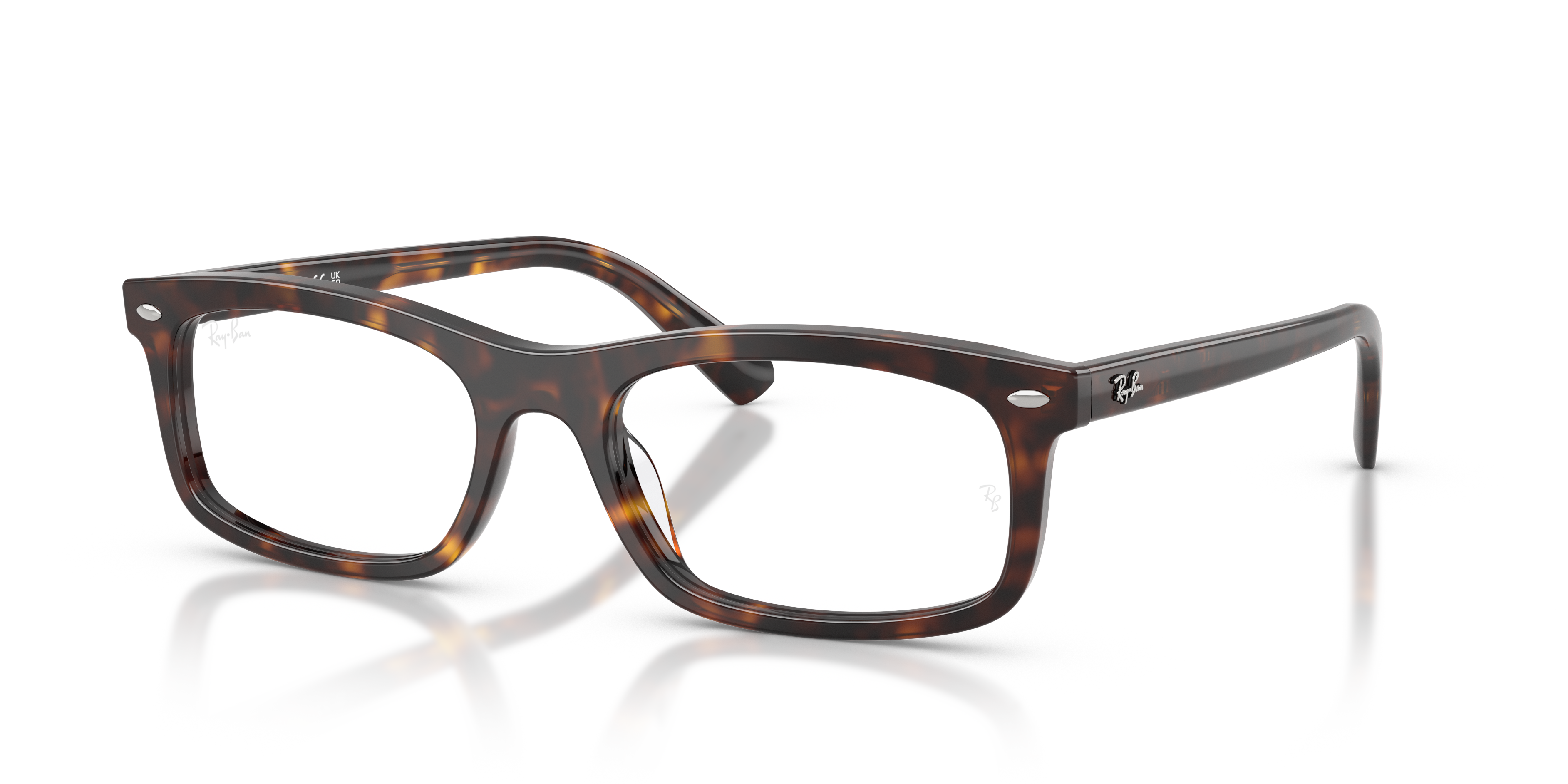 RB5450 OPTICS