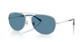 BAIN BRIDGE POLARIZED+ LENSES