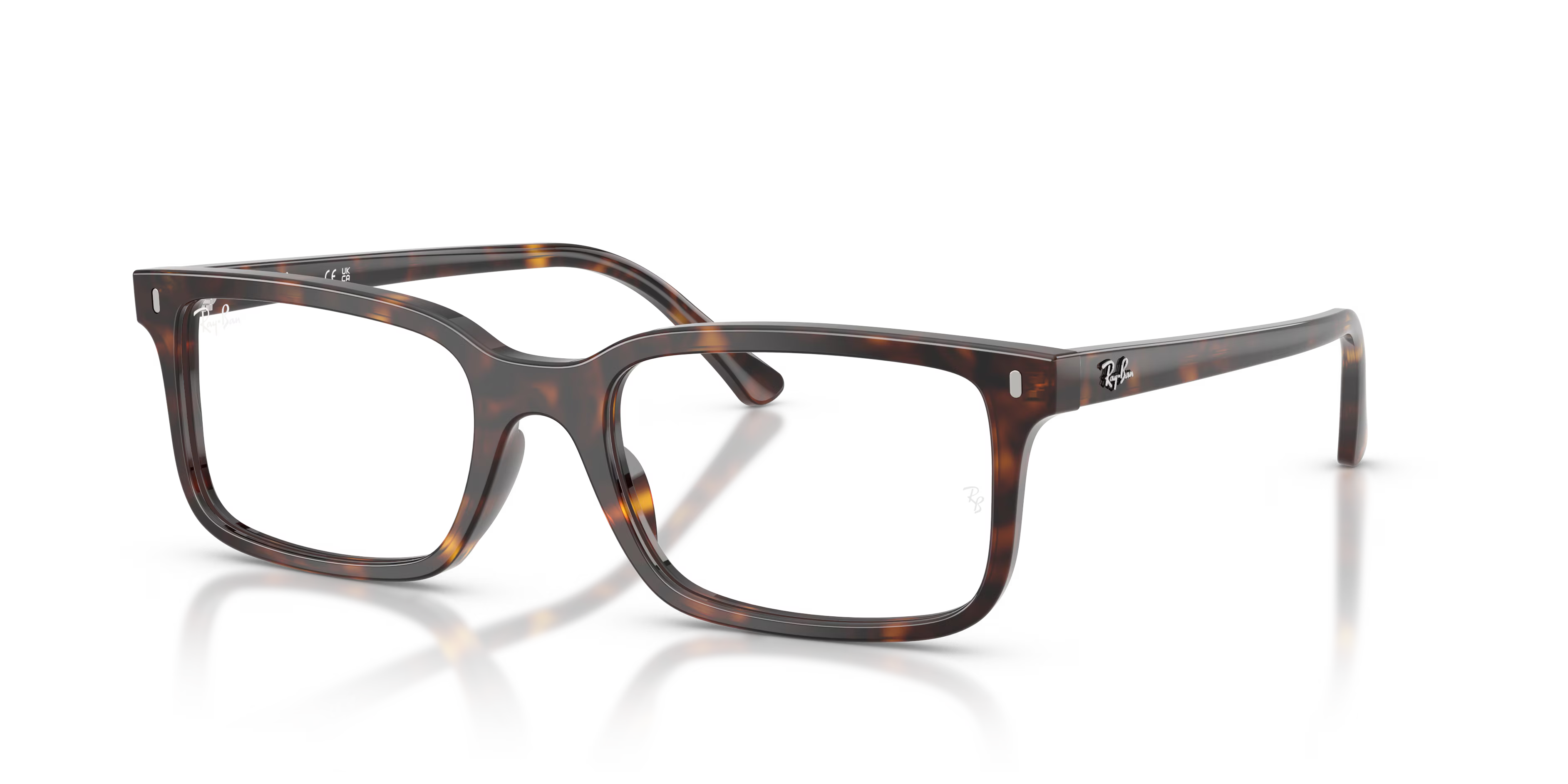 RB5445 OPTICS