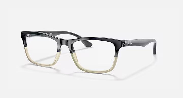 RB5279 OPTICS