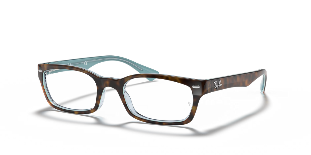 RB5150 OPTICS