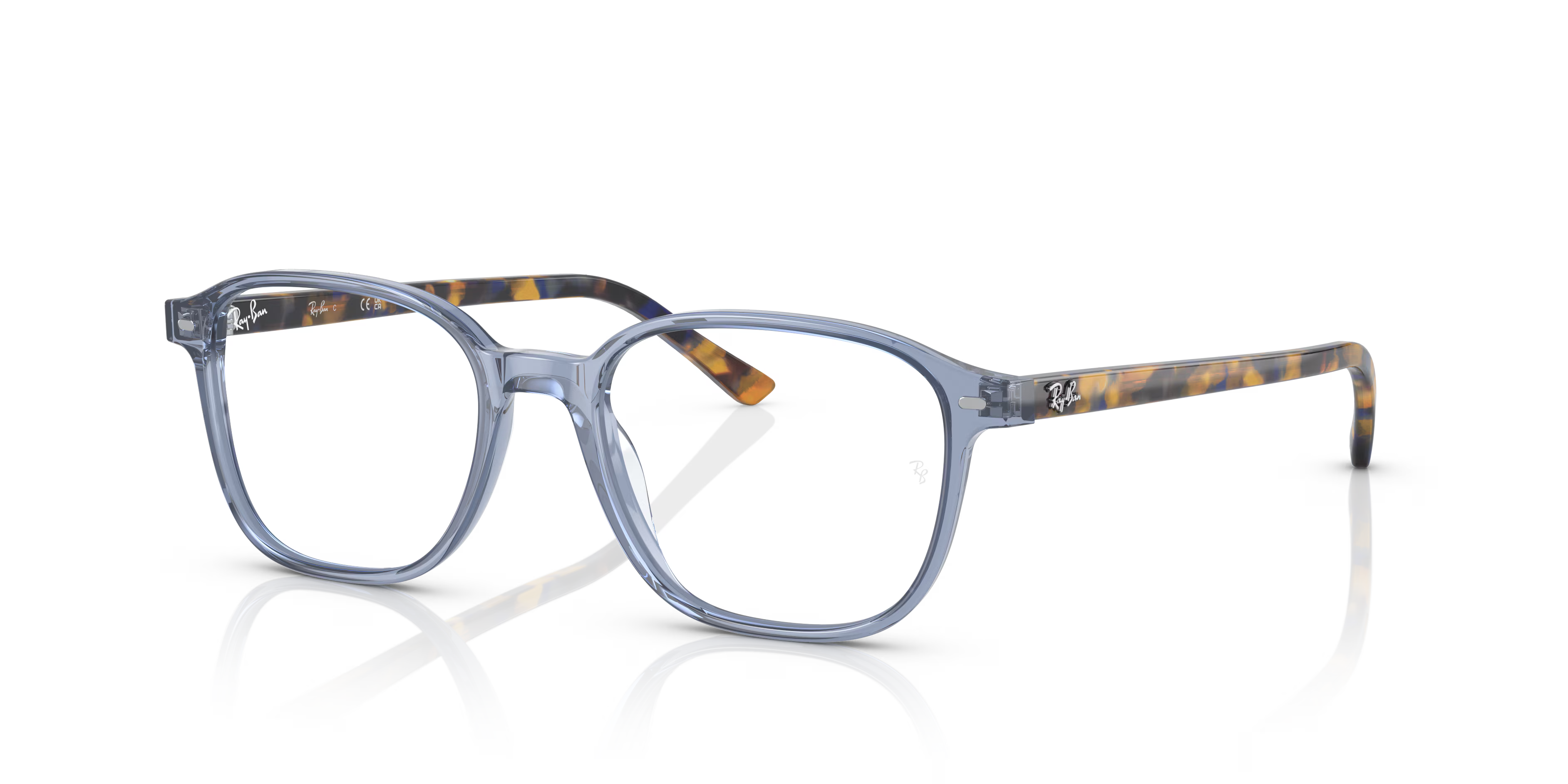 LEONARD OPTICS