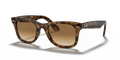 WAYFARER EASE
