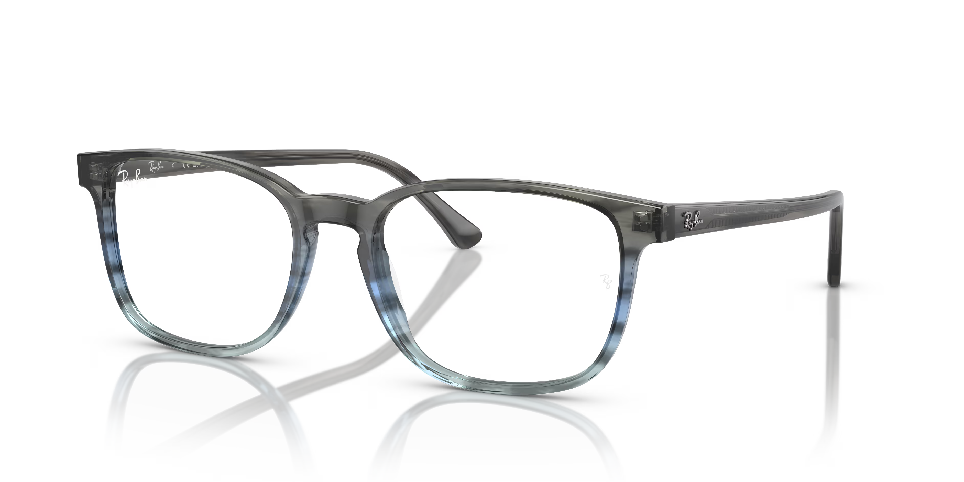 RB5418 OPTICS