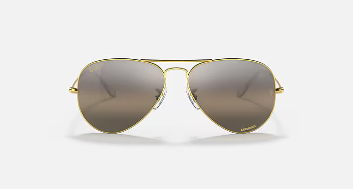 AVIATOR POLARIZED+ LENSES