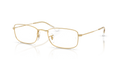 RB6647 OPTICS