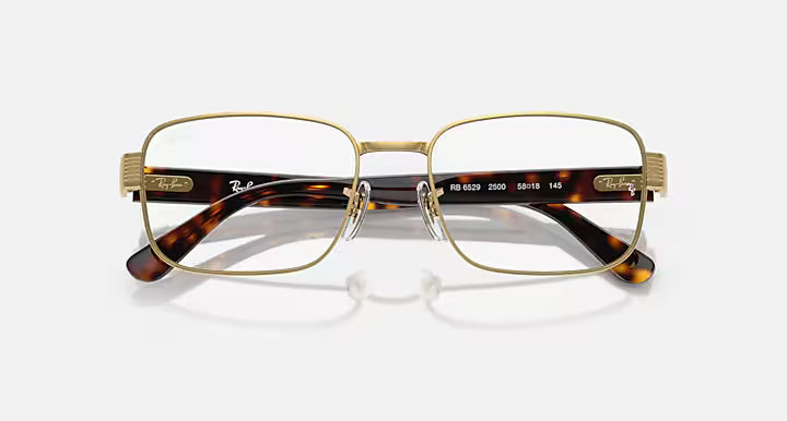 RB6529 OPTICS