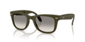 WAYFARER FOLDING CLASSIC ONLINE ONLY LIMITED