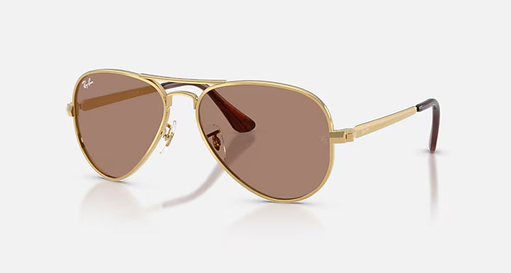 AVIATOR MAX HOLIDAY LIMITED