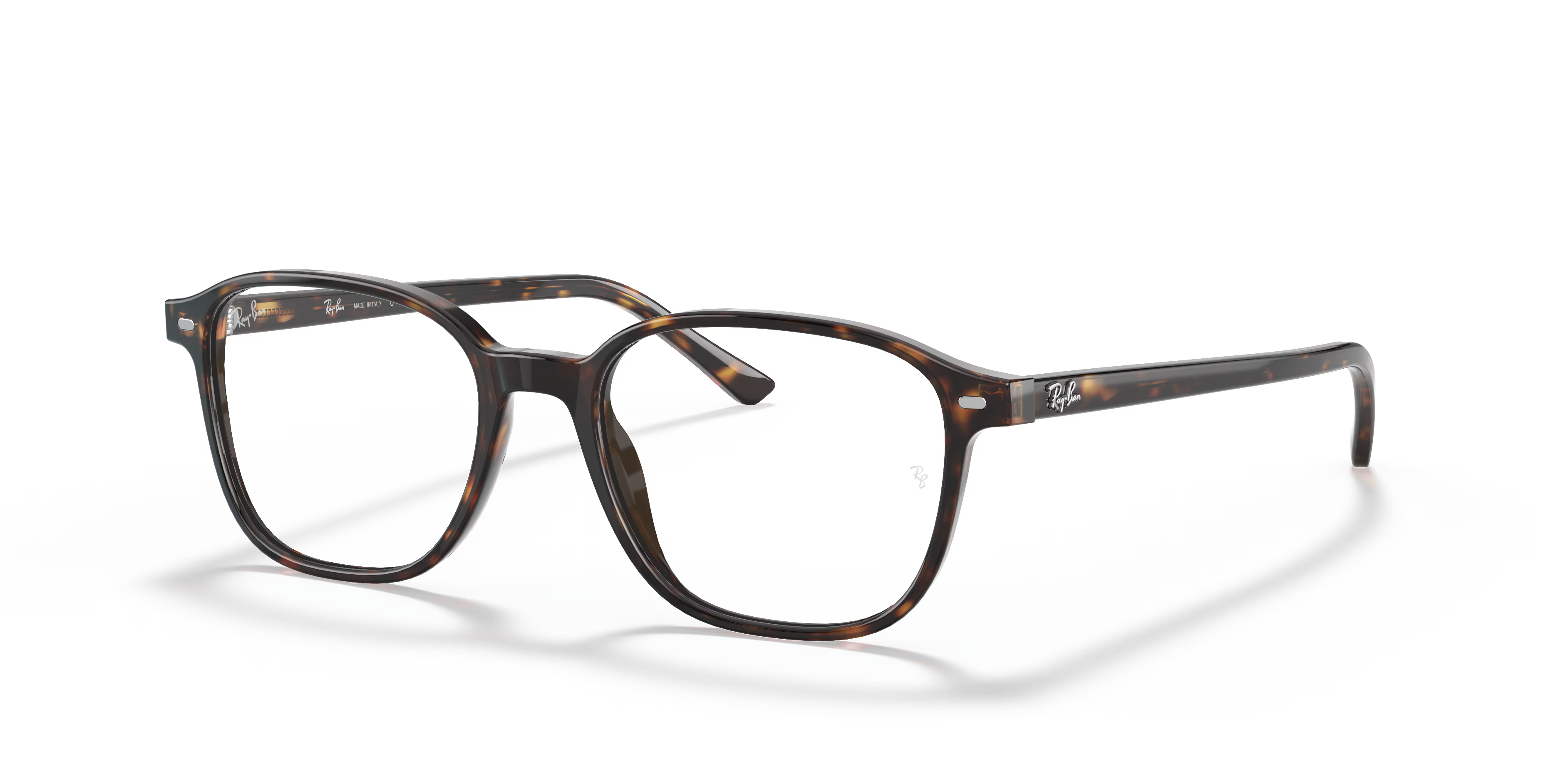 LEONARD OPTICS