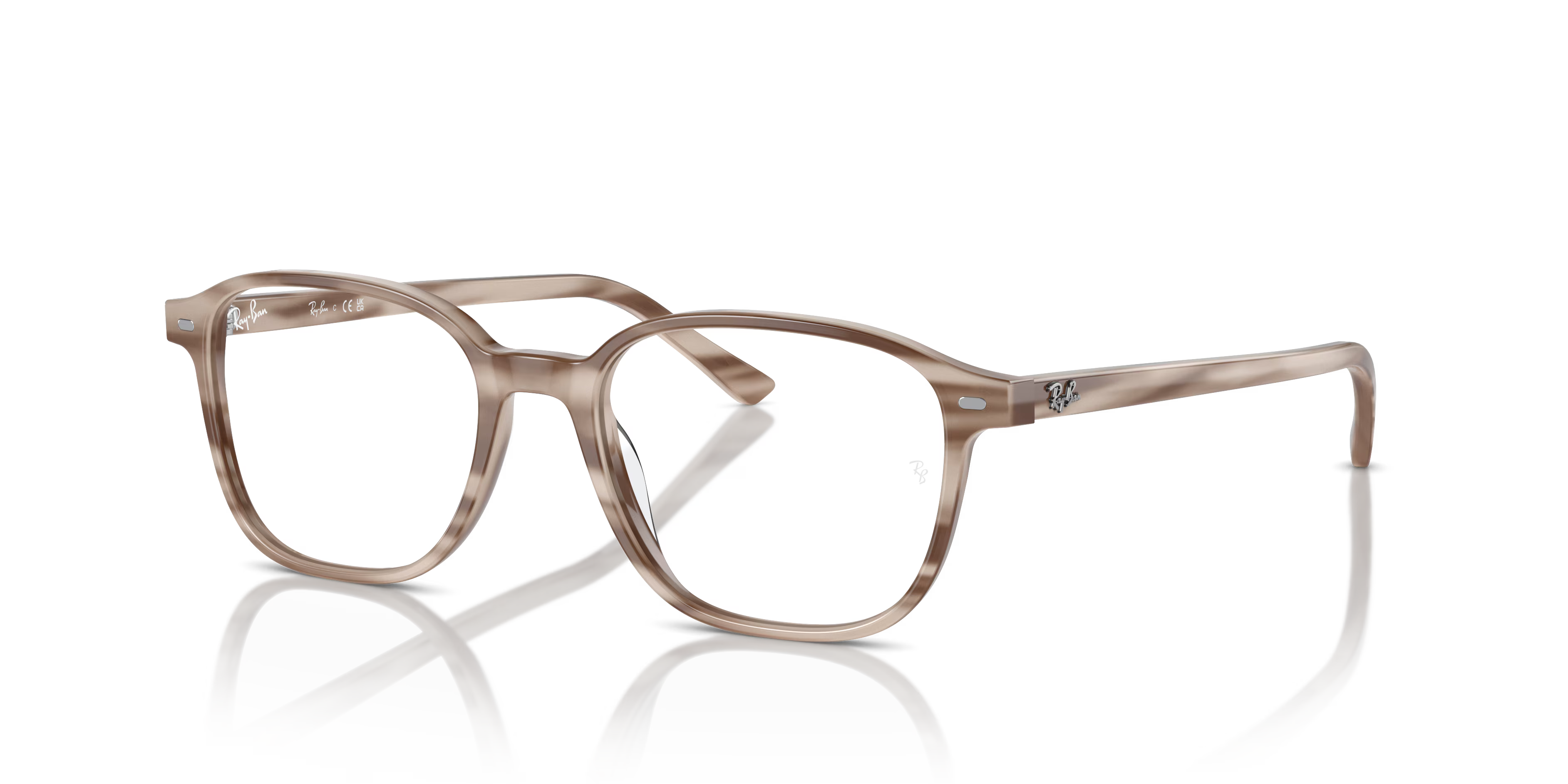 LEONARD OPTICS