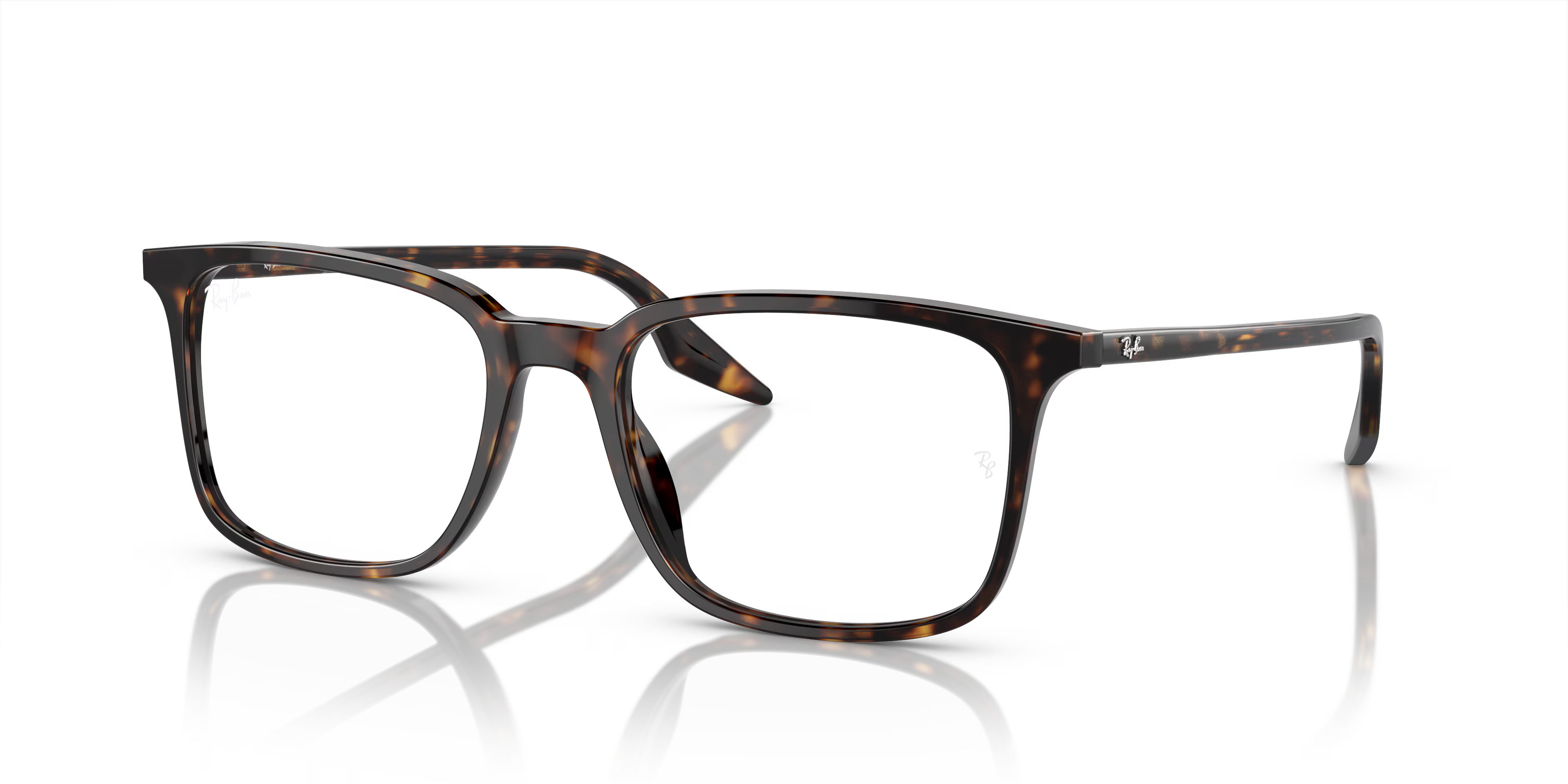 RB5421 OPTICS