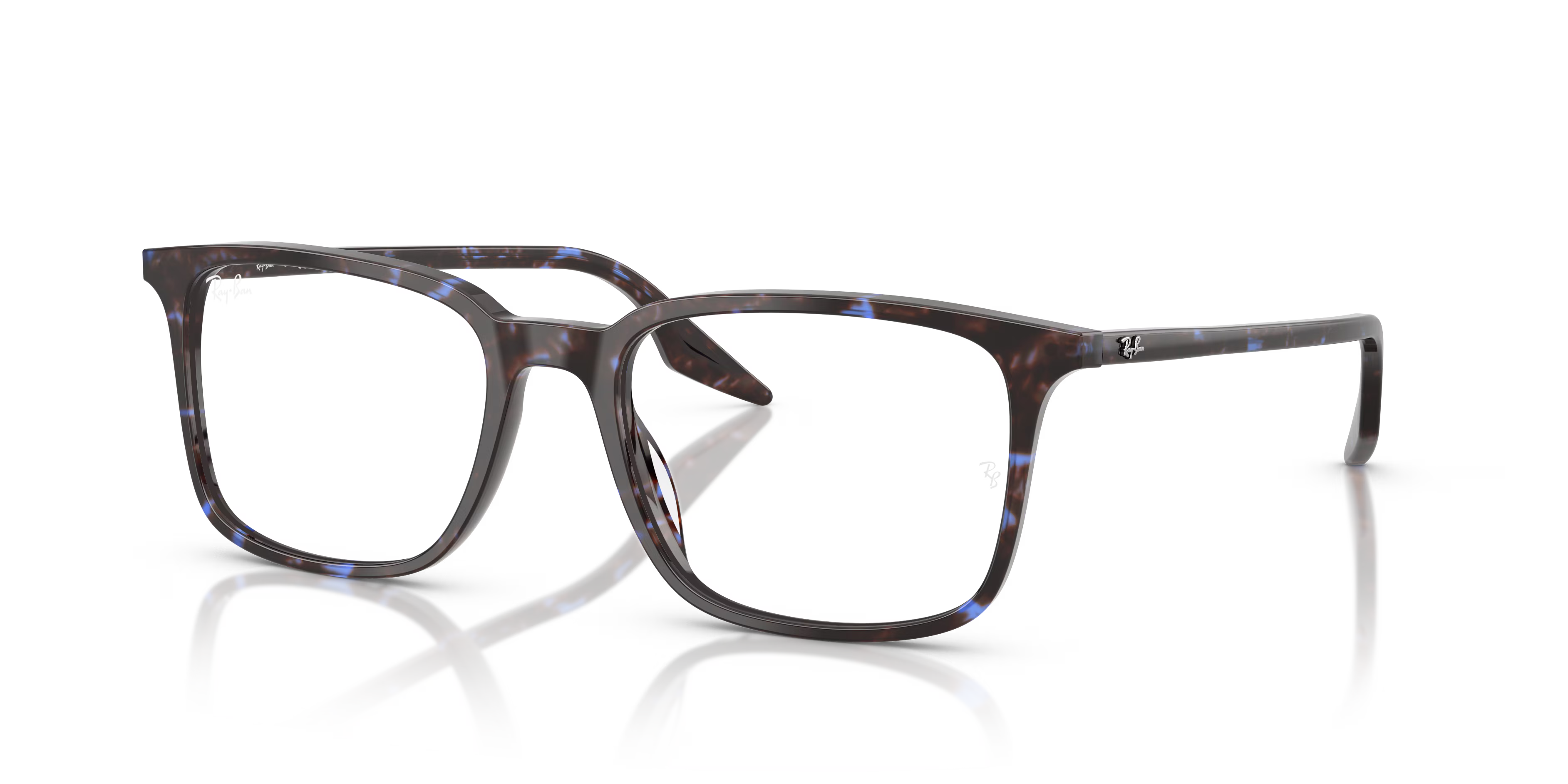 RB5421 OPTICS