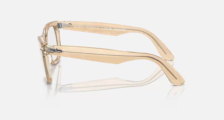 WAYFARER EASE OPTICS CHANGE LIMITED