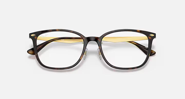 RB5403 OPTICS