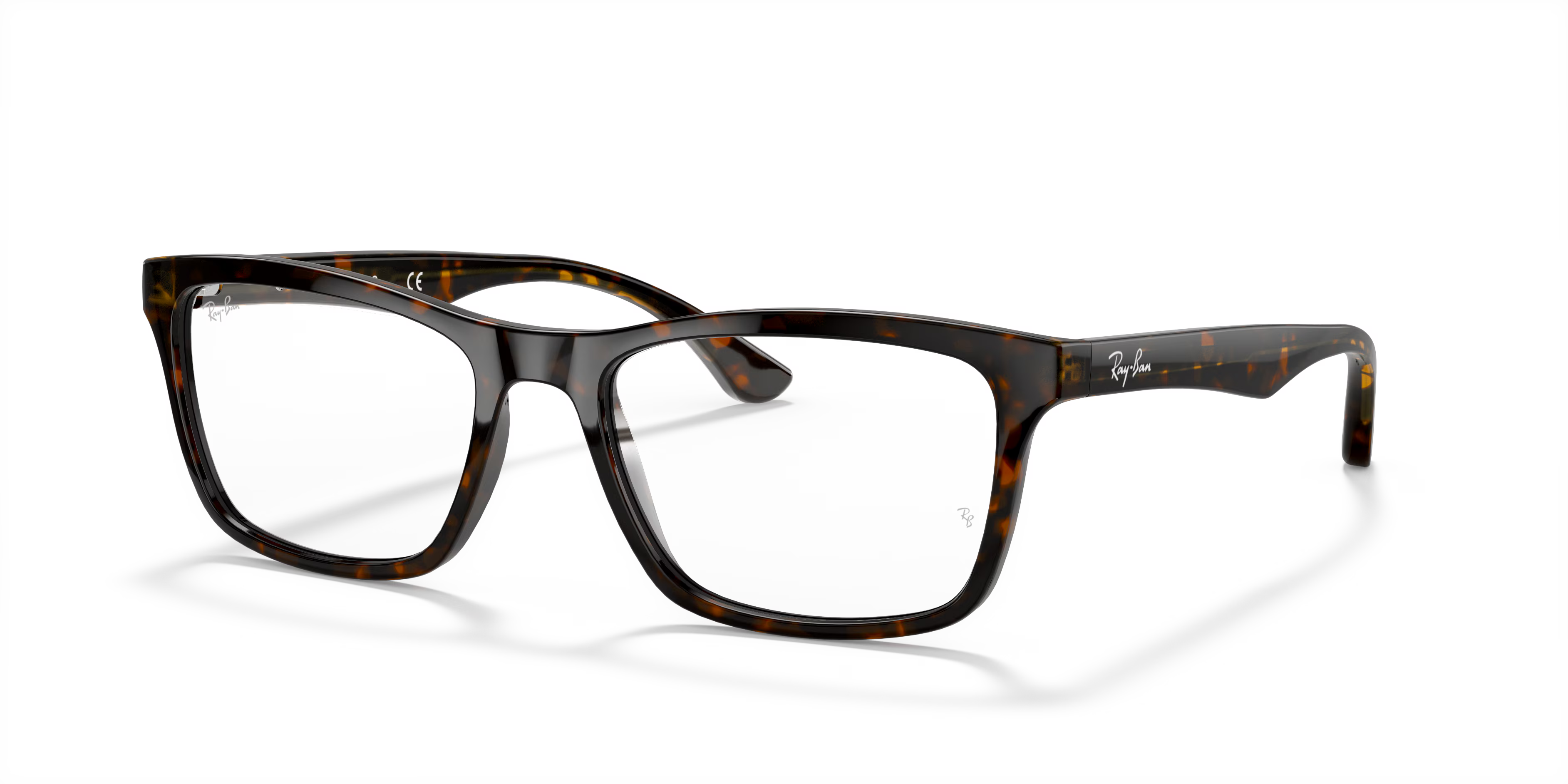 RB5279 OPTICS