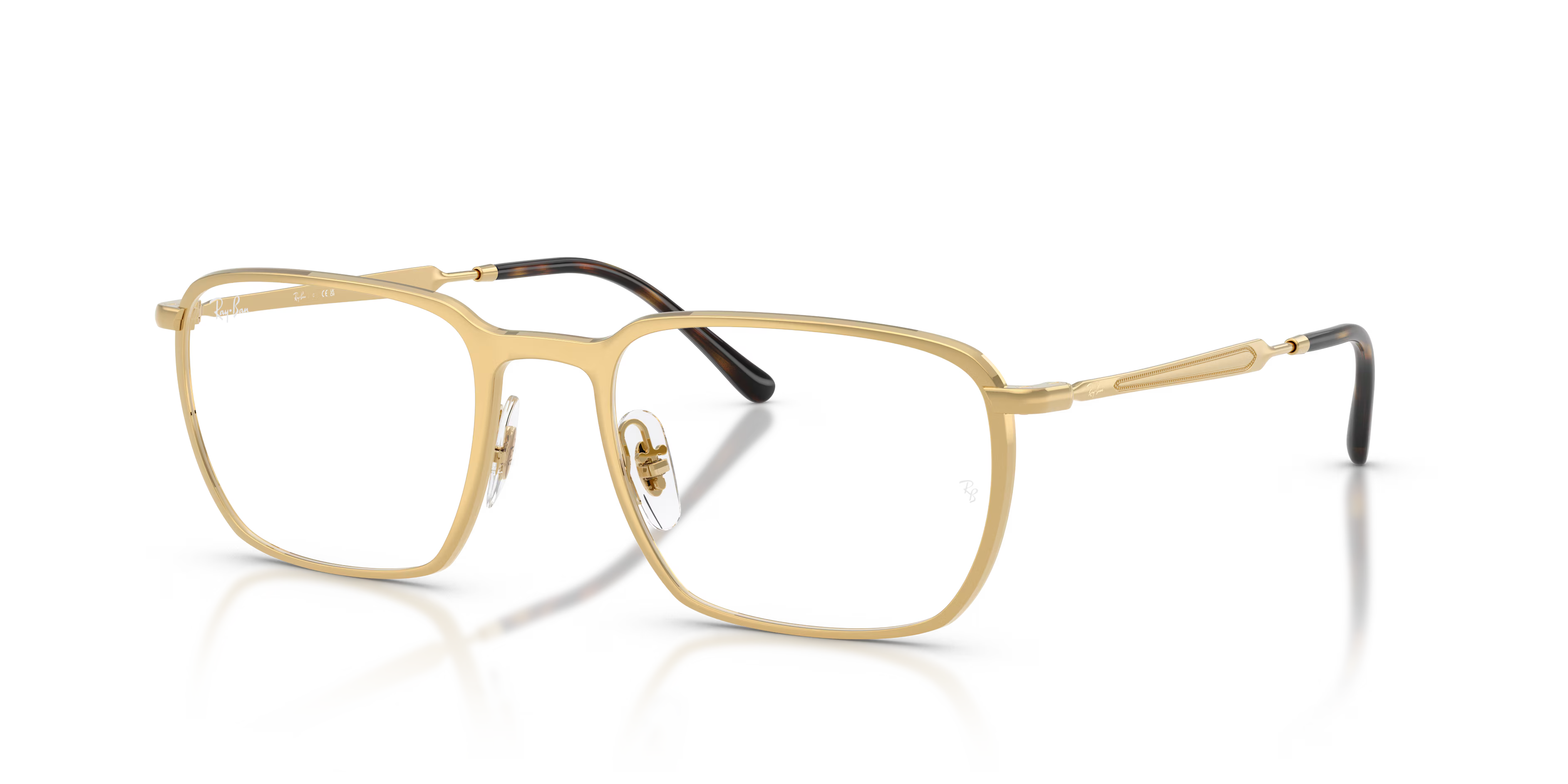 RB6549 OPTICS