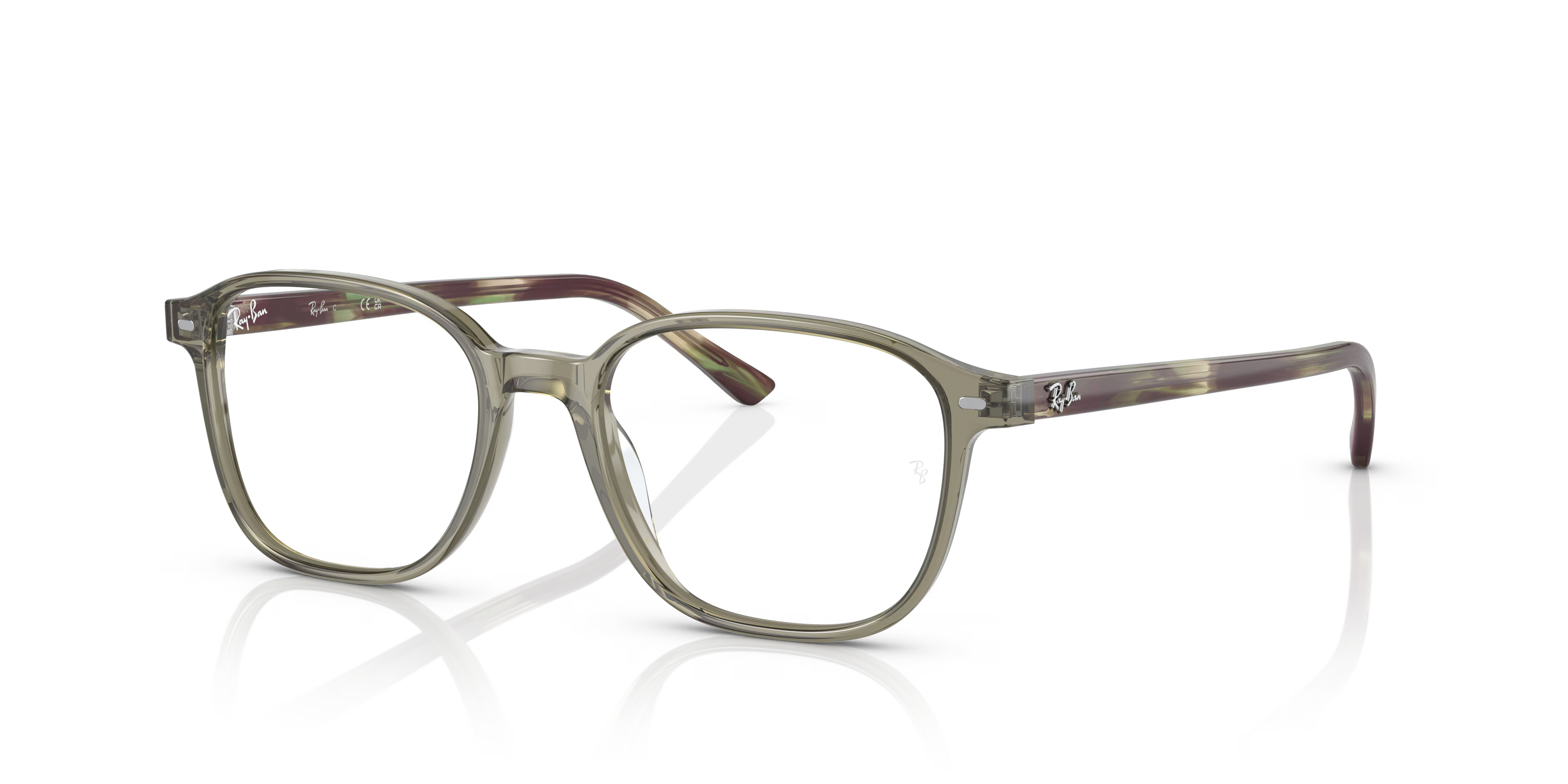 LEONARD OPTICS