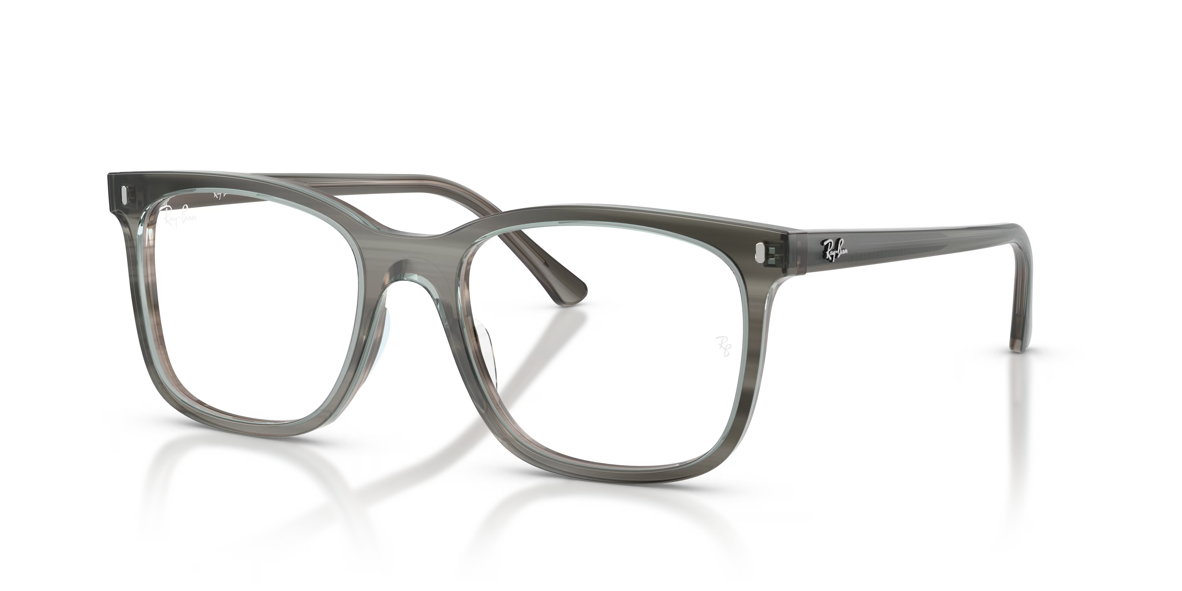 RB5446 OPTICS