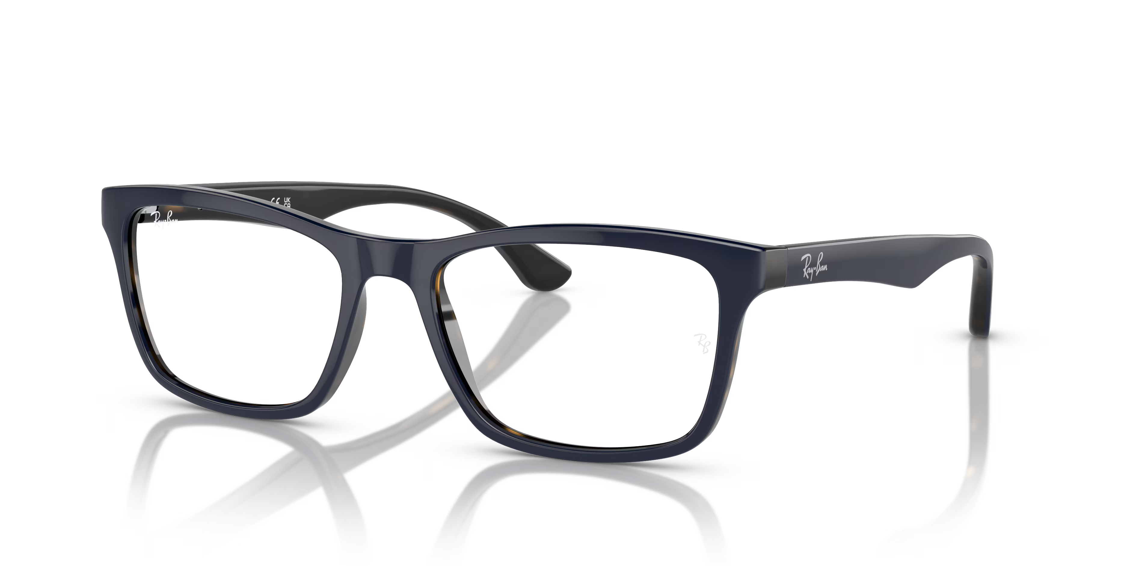 RB5279 OPTICS