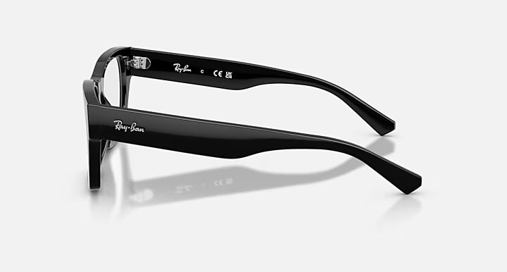 RB5448 OPTICS