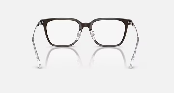 RB5442D OPTICS