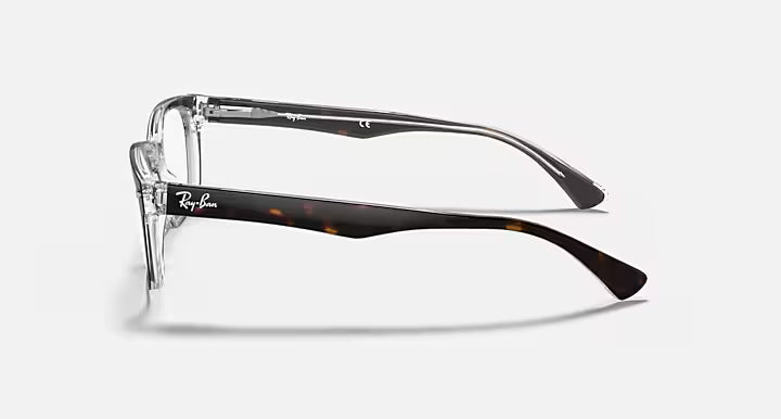 RB5286 OPTICS