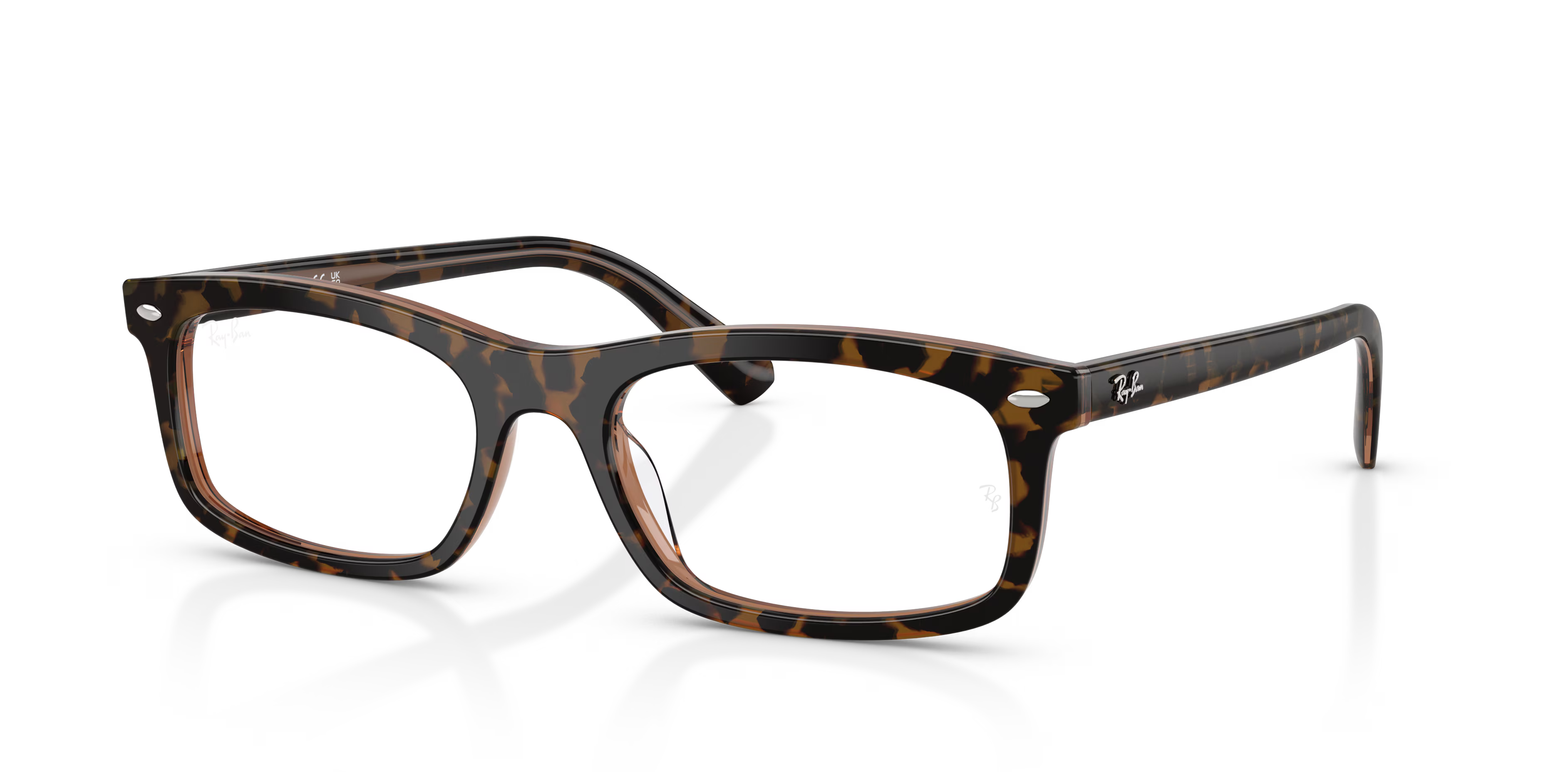 RB5450 OPTICS