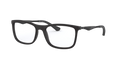 RB7029 OPTICS