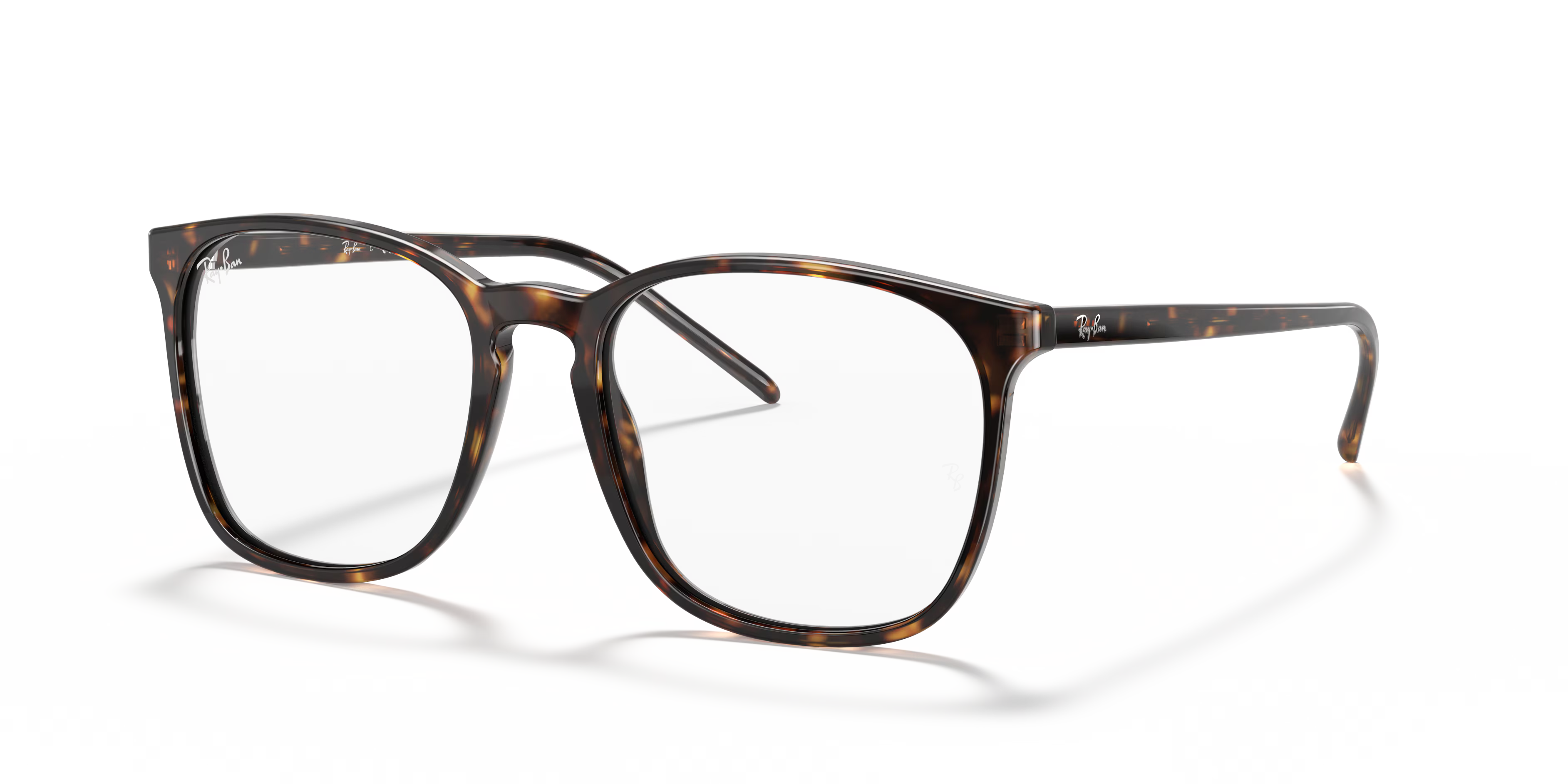 RB5387 OPTICS