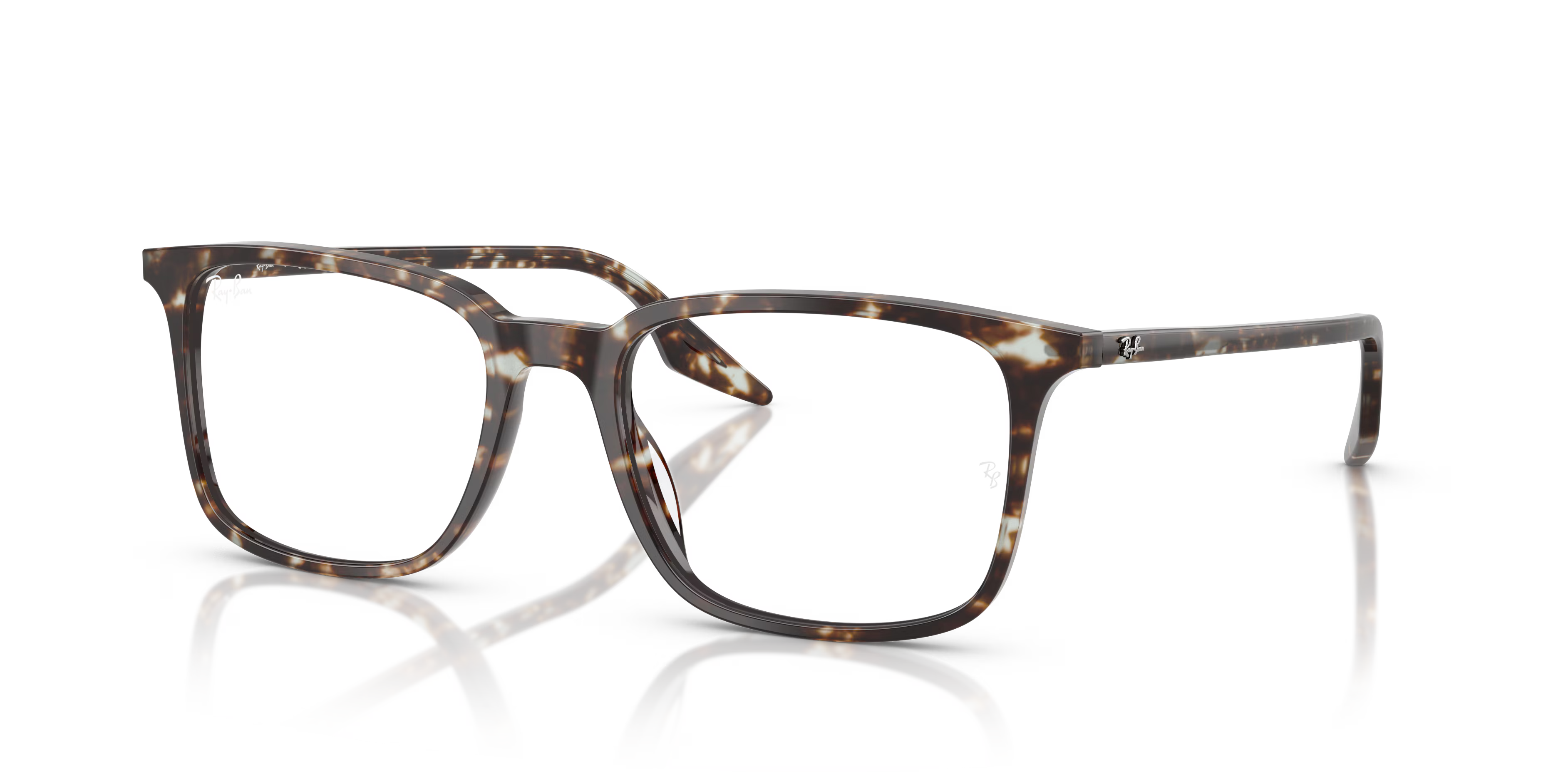 RB5421 OPTICS