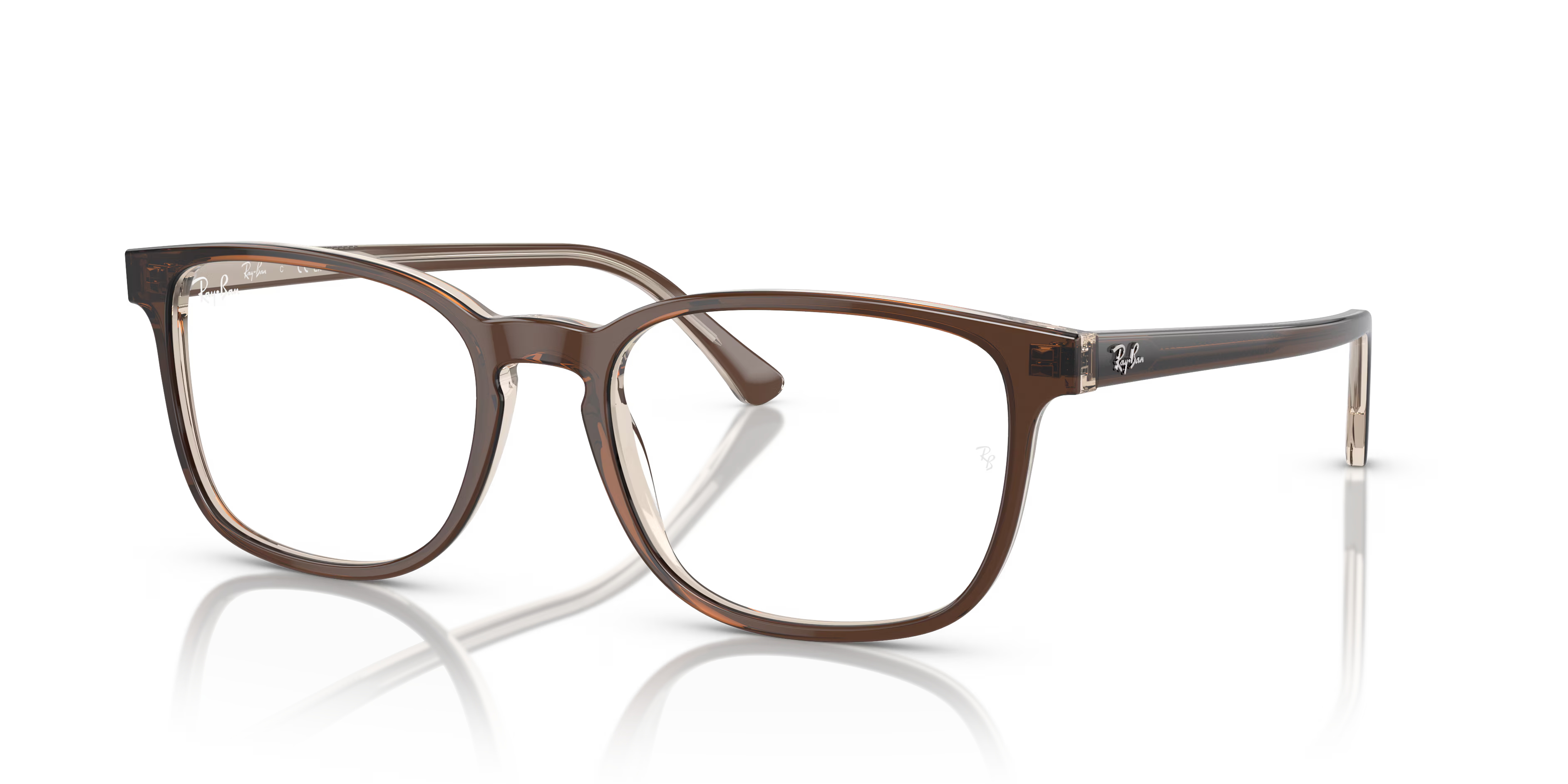 RB5418 OPTICS
