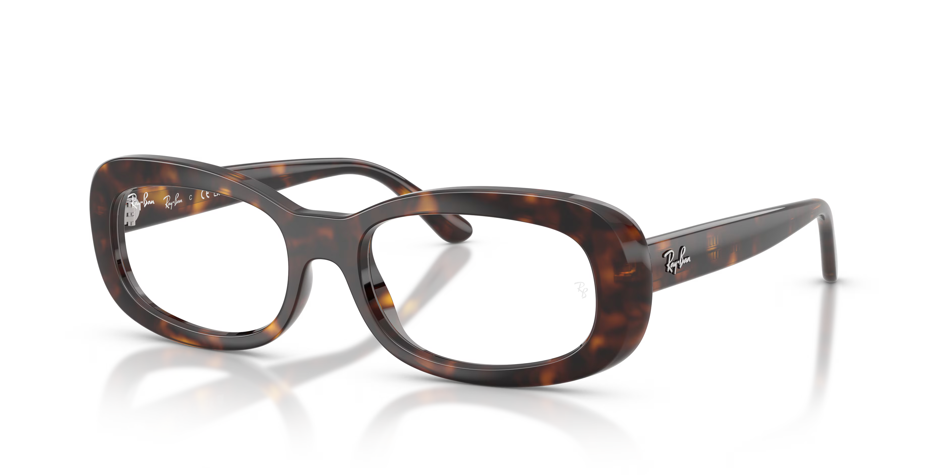 RB2221V OPTICS