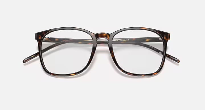 RB5387 OPTICS