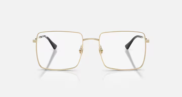 BRIX OPTICS BIO-BASED