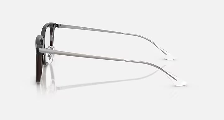 RB5442D OPTICS