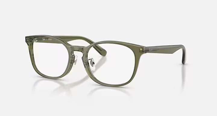 RB5386 OPTICS