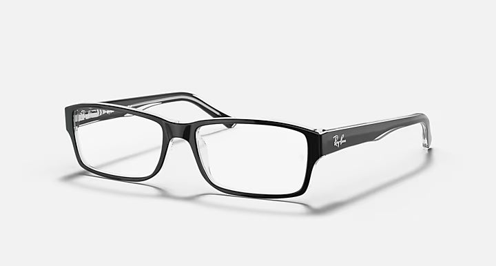 RB5169 OPTICS