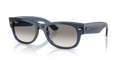 MEGA WAYFARER II