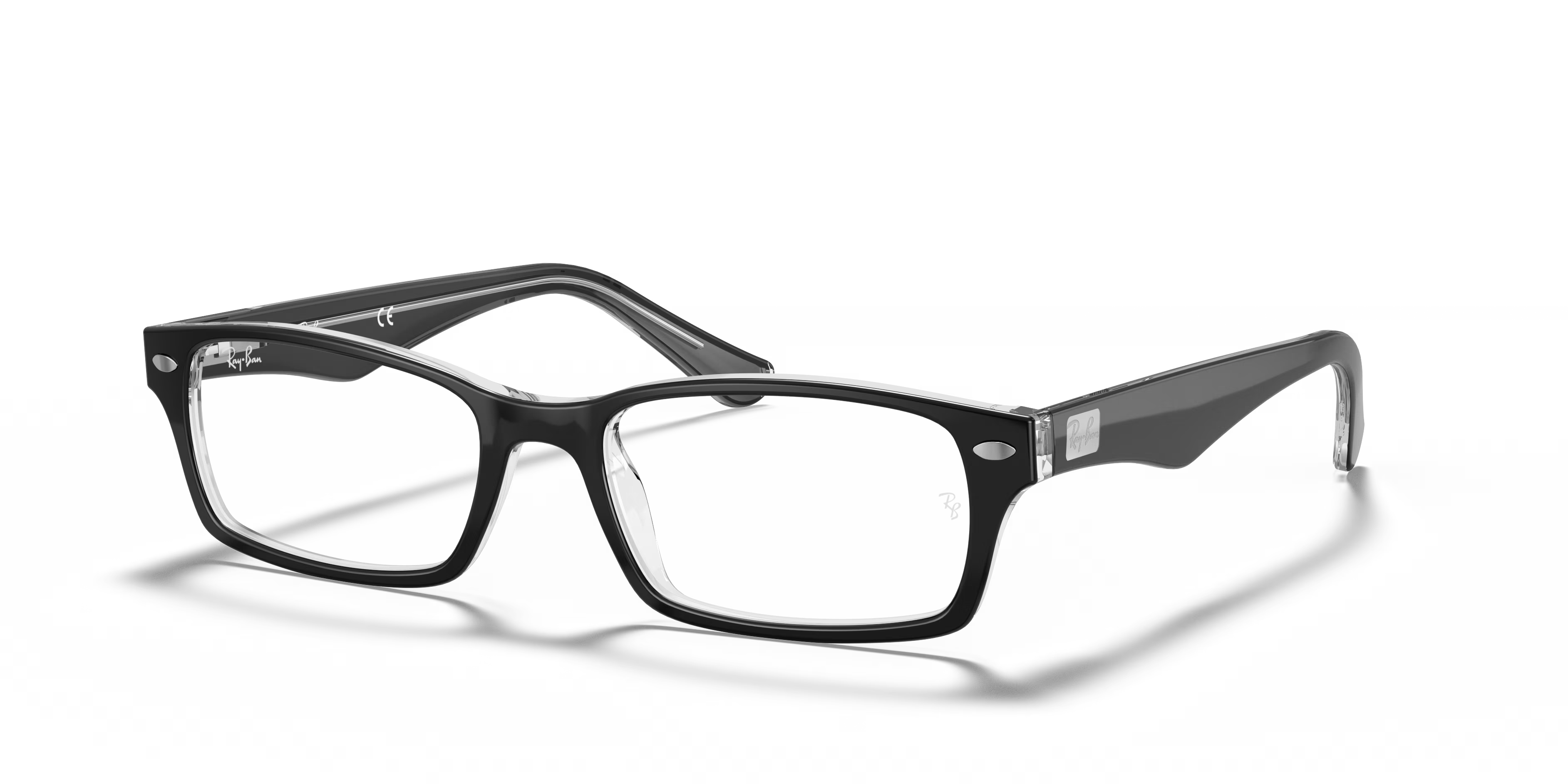 RB5206 OPTICS