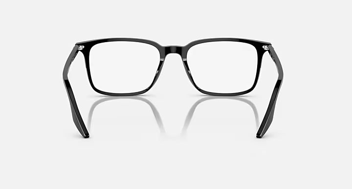 RB5421 OPTICS