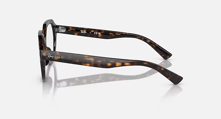 GINA OPTICS