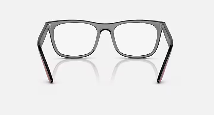 RB7209 OPTICS